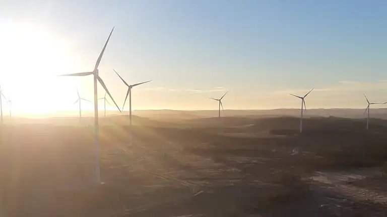 image for Sustainability